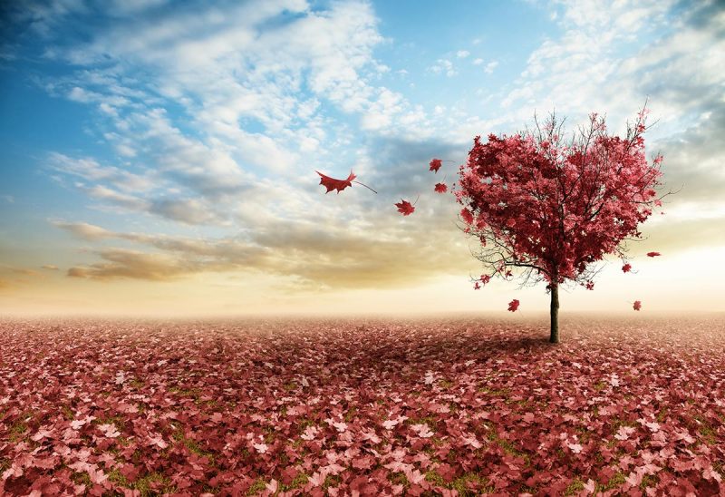 Love and intimacy are like a tree blowing in the wind