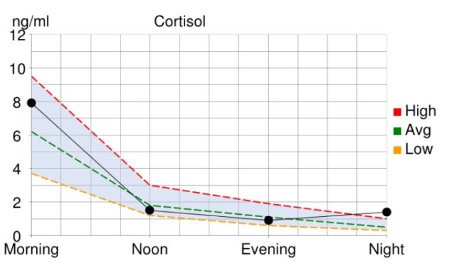 cortisol