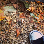 5 Ways to Manage Seasonal Depression