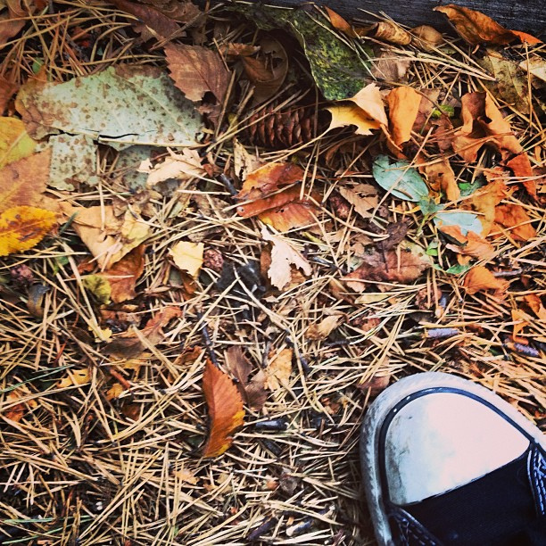 5 Ways to Manage Seasonal Depression