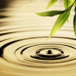 3 Important Questions When Starting Therapy