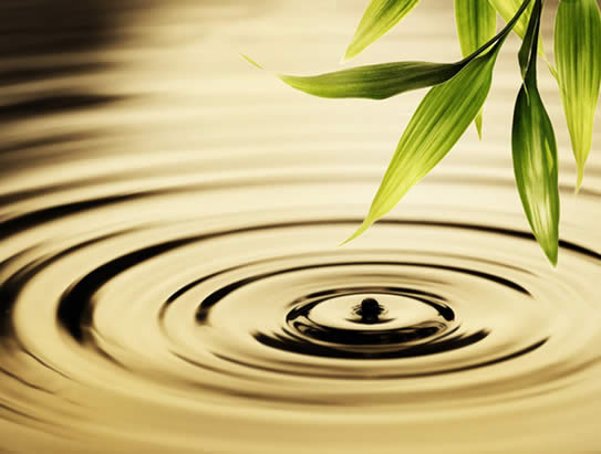 3 Important Questions When Starting Therapy