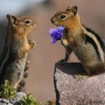 Premarital Counseling: 4 Reasons To Attend