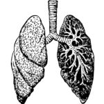 A Mindfulness Practice to Connect Breath and Heart
