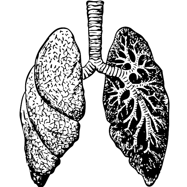 A Mindfulness Practice to Connect Breath and Heart