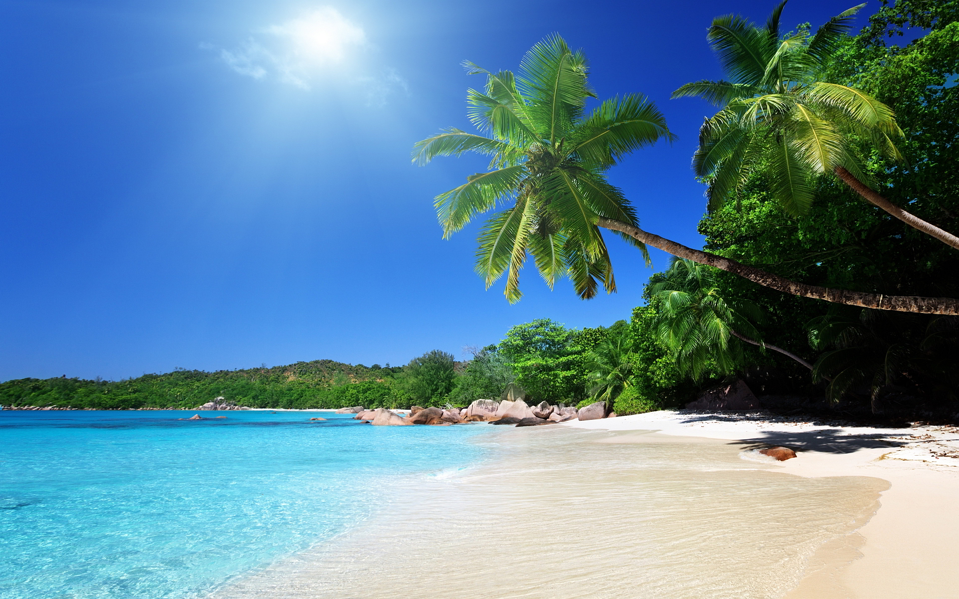 A Guided Imagery Meditation for Stress Reduction