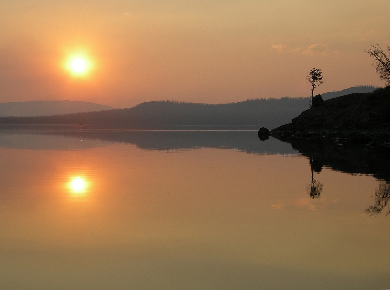 What You Need to Know About Embracing Insomnia