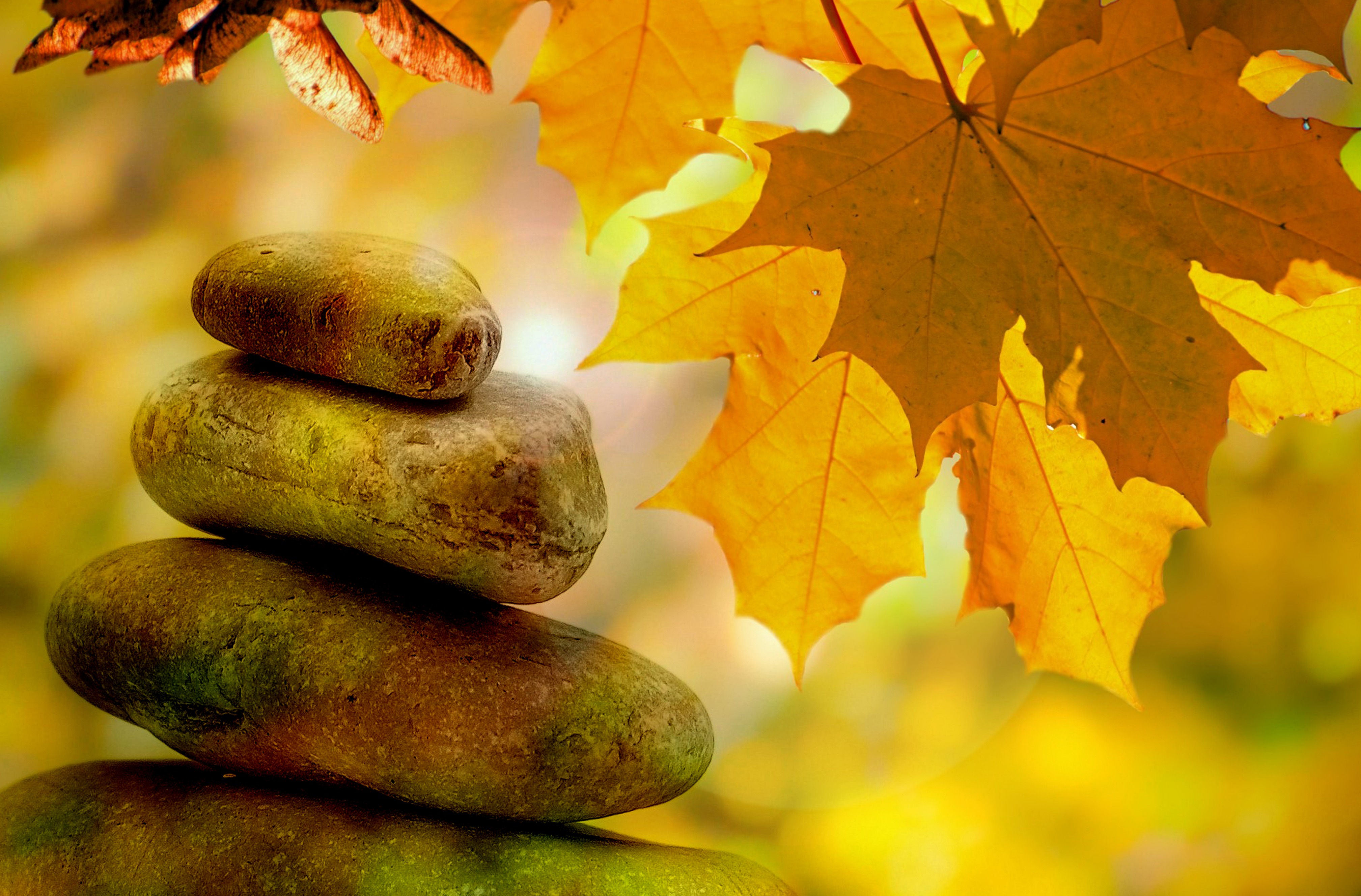The 5 Foundations of Meditation: A Beginner’s Guide