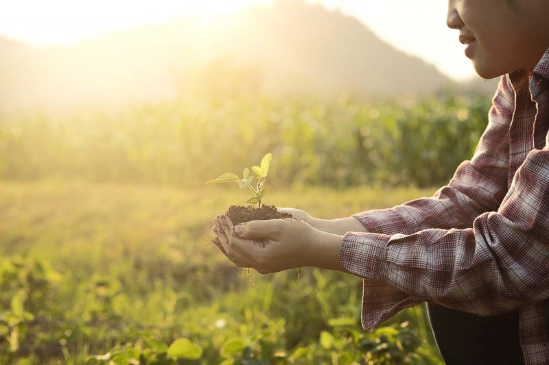 Learn how to better nurture your relationships while being a people pleaser
