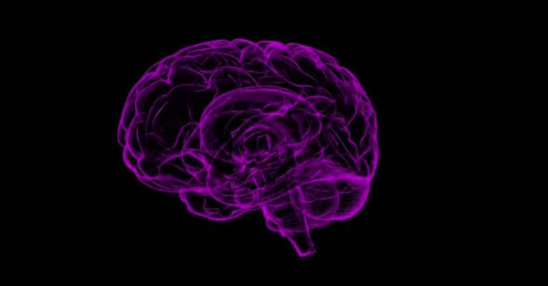 Laughter and the brain