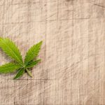 The Effects of Legal Marijuana on Mental Health