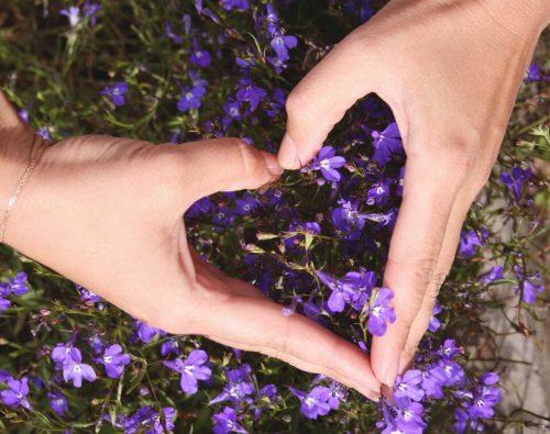 hands-in-love-heart
