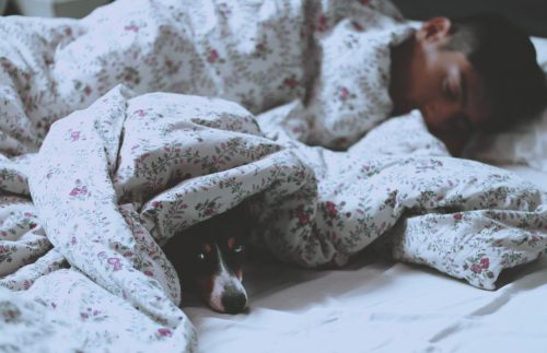 causes for insomnia
