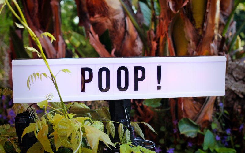 pandemic-poop