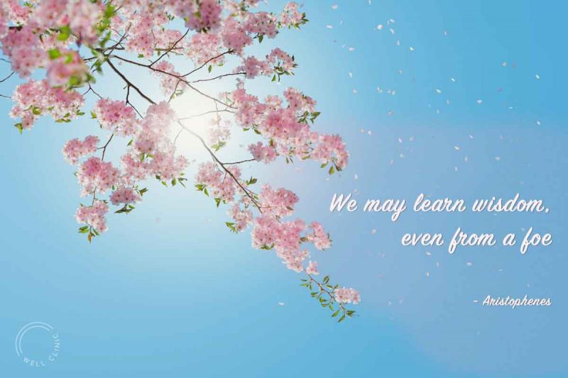 "We may learn wisdom, even from a foe" quote by Aristophenes