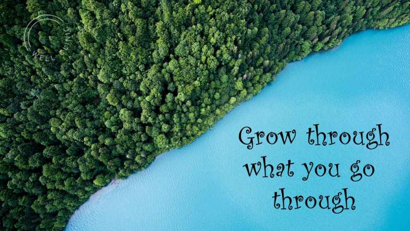 "Grow through what you go through" quote
