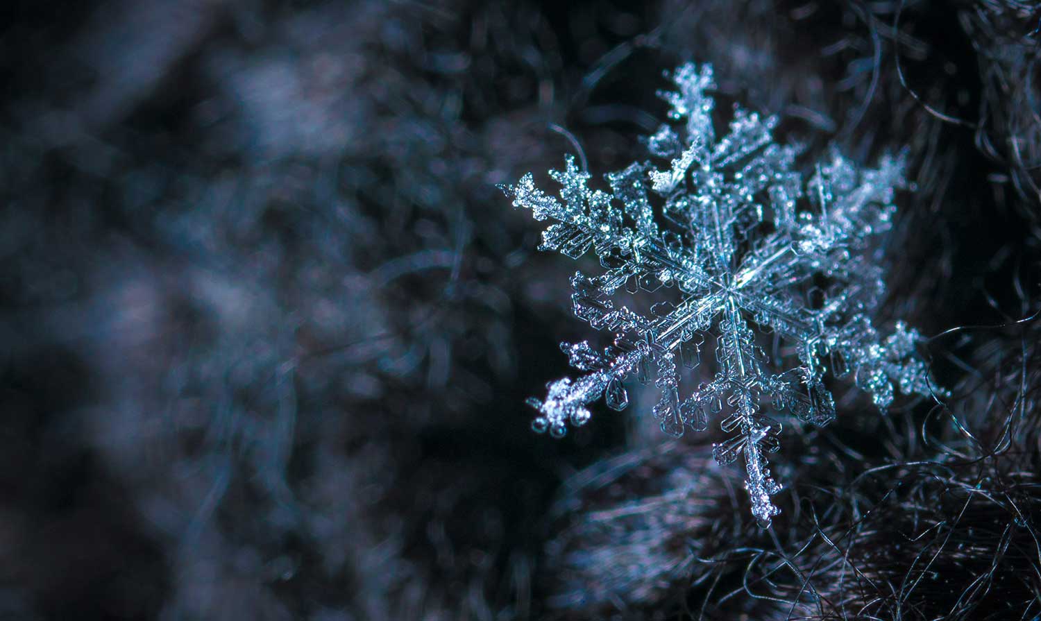 Treatments for Seasonal Affective Disorder – Bring the Light