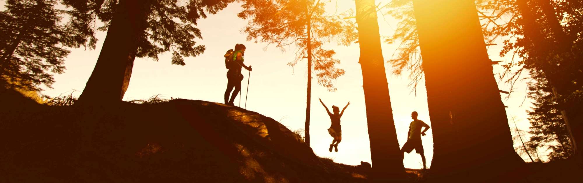 What is Emotional Resilience and How to Develop This Important Trait