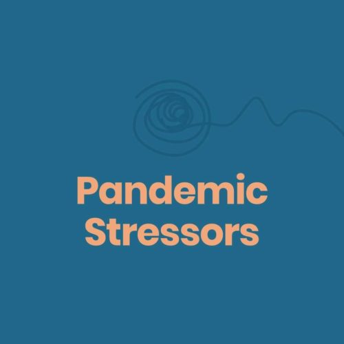 pandemic stressors