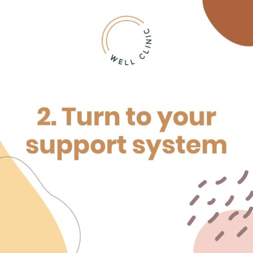 Support system
