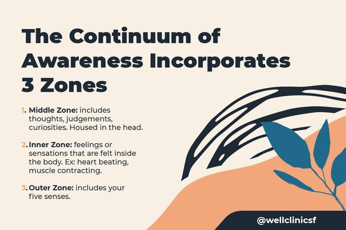 Continuum of Awareness
