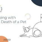 Coping with the Death of a Pet