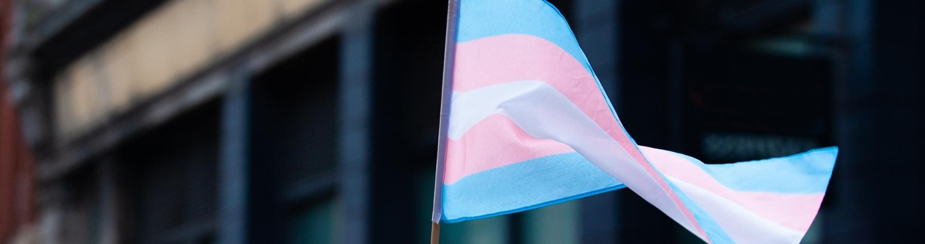 3 Ways to Hold Space For Your Trans Friend or Family Member