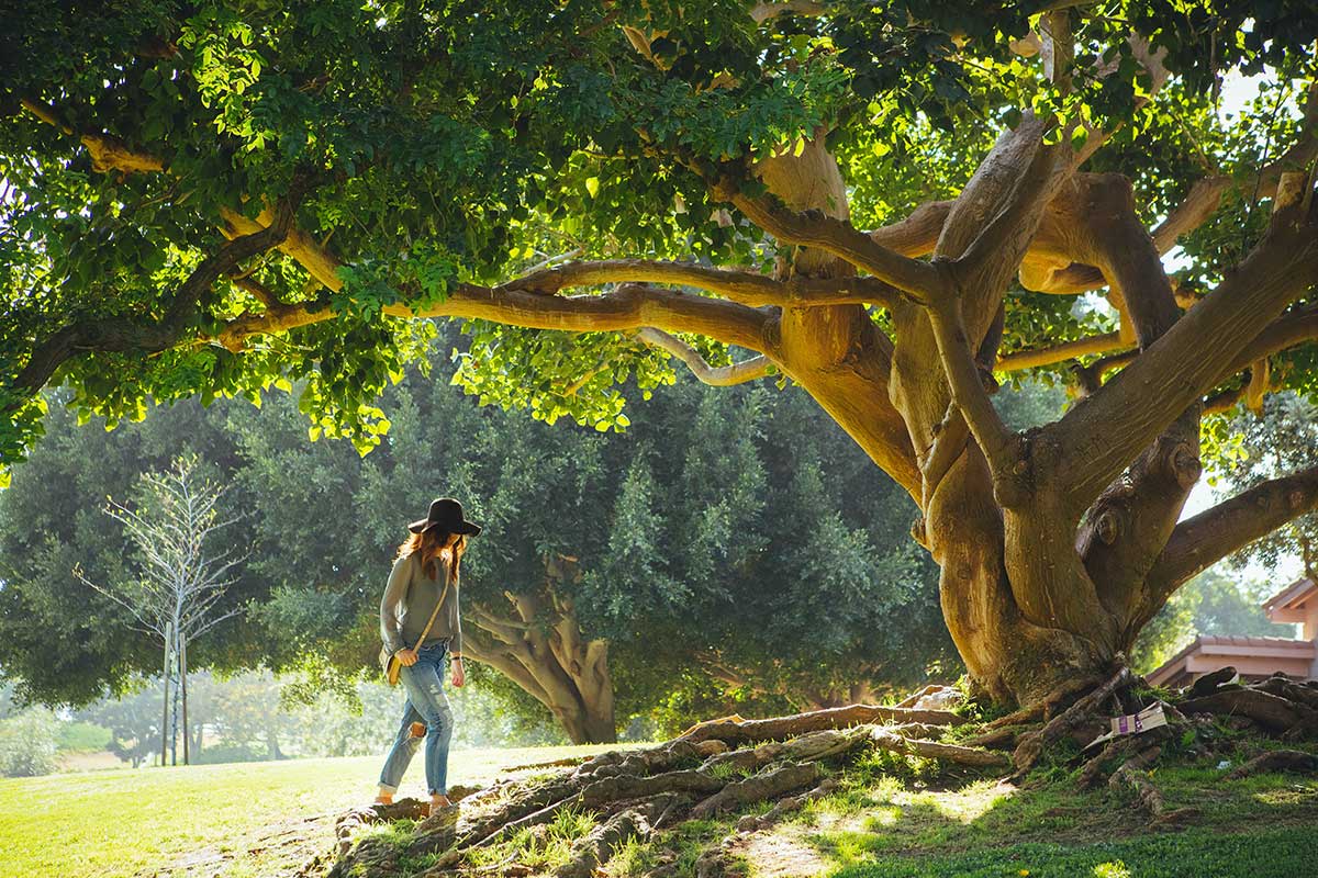 How Working on Yourself Can Improve Your Mental Well-Being