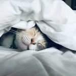 5 Types of Self-Care for Every Area of Life