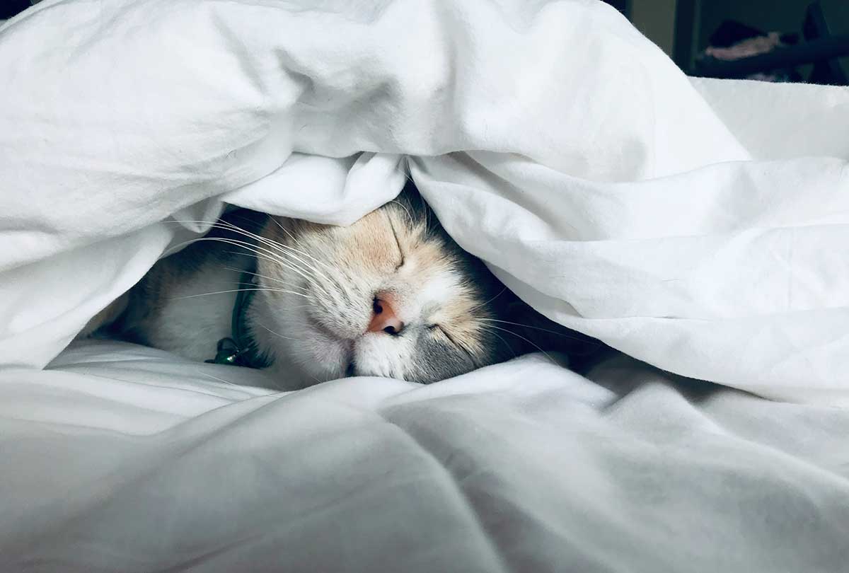 5 Types of Self-Care for Every Area of Life